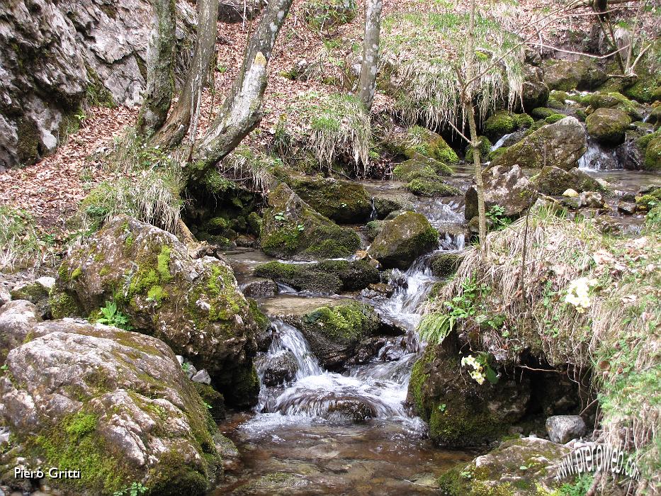 59 Siamo vicini alle sorgenti del torrente Vertova.jpg